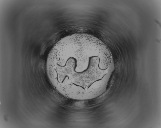 X0000091240178200709061547
