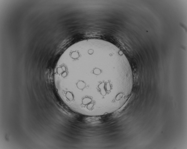 X0000091240179200709061547