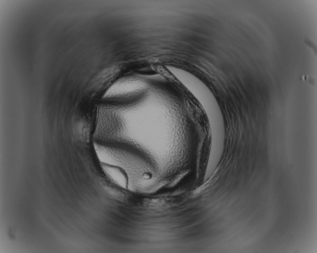 X0000091240180200709061548