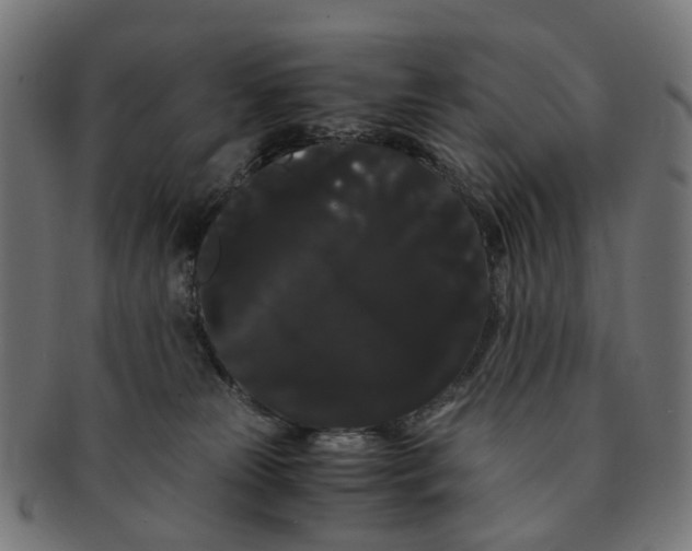X0000091240181200709061548