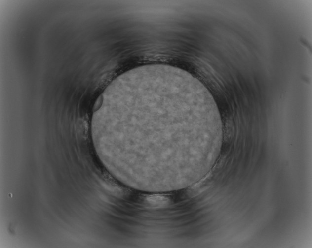 X0000091240183200709061548