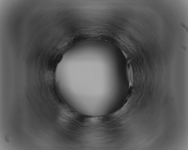 X0000091240184200709061548