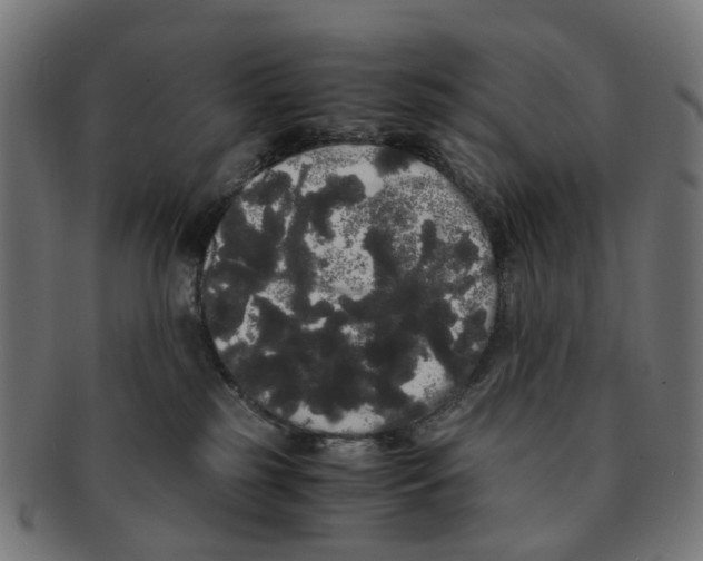 X0000091240185200709061548