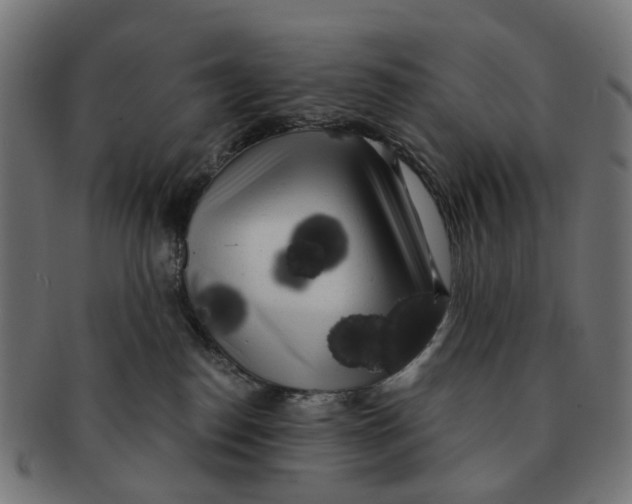 X0000091240186200709061548