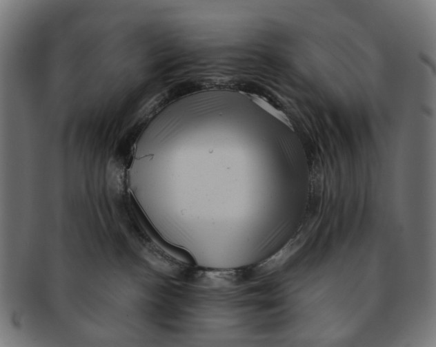 X0000091240188200709061548