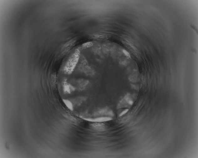 X0000091240189200709061548