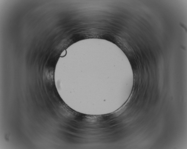 X0000091240190200709061548