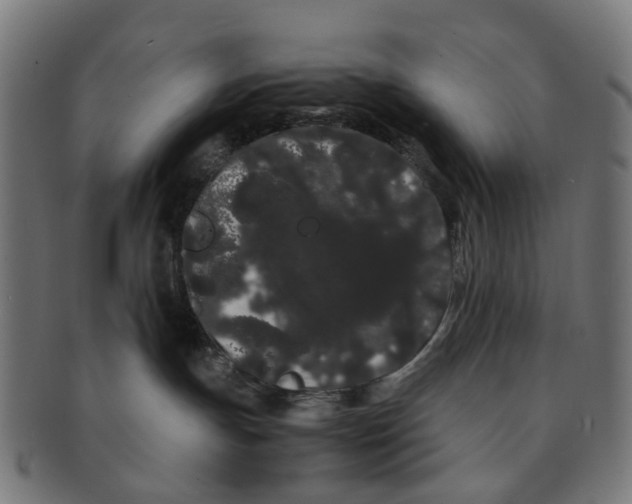X0000091240191200709061548