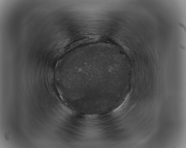X0000091240192200709061548