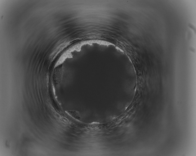 X0000091240194200709061547