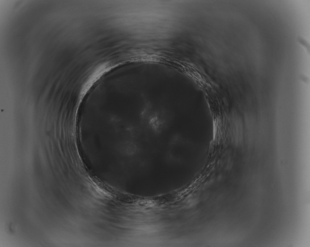 X0000091240195200709061547