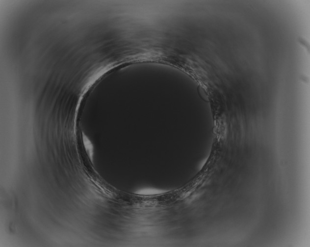 X0000091240196200709061547