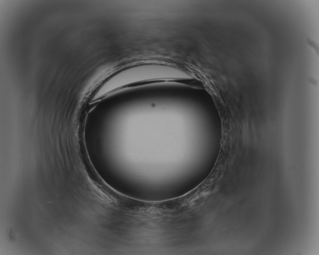 X0000091240197200709061547