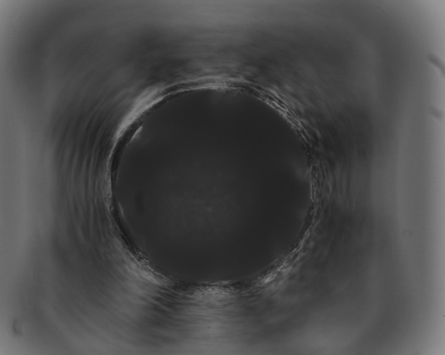 X0000091240198200709061547