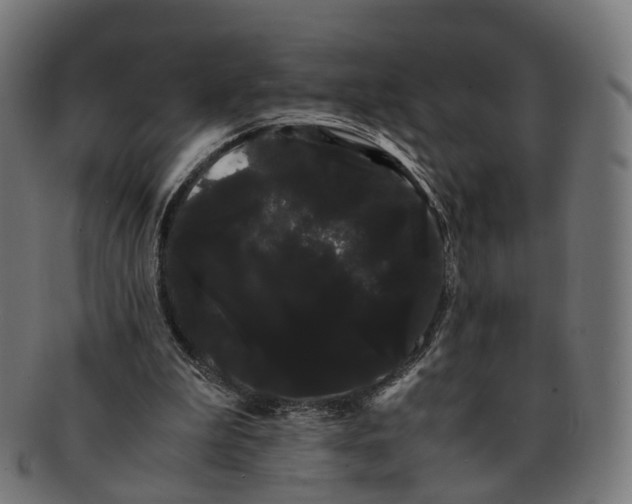 X0000091240199200709061547