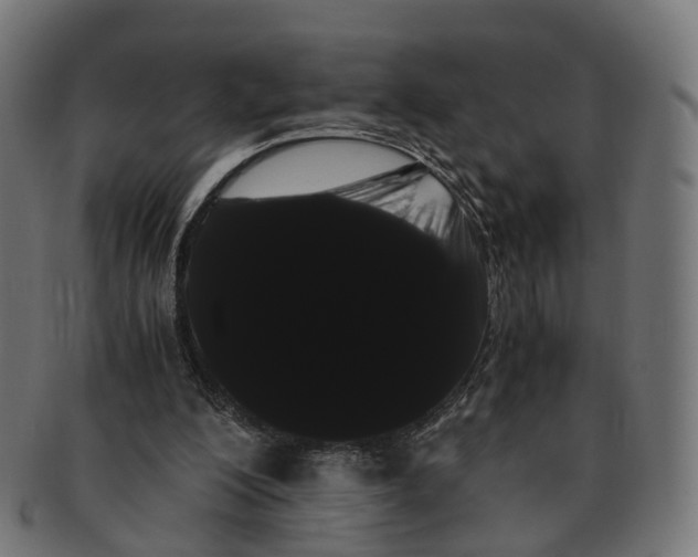 X0000091240200200709061547