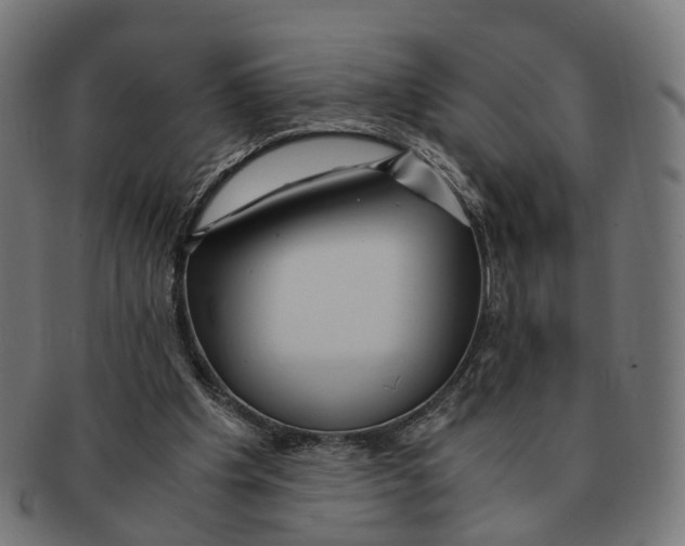 X0000091240201200709061547