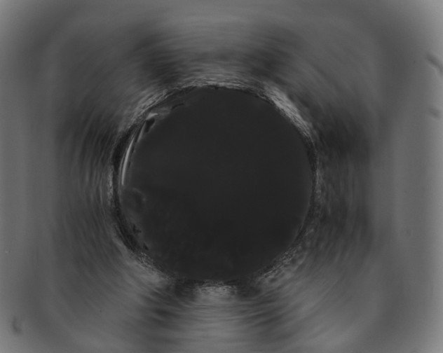 X0000091240202200709061547