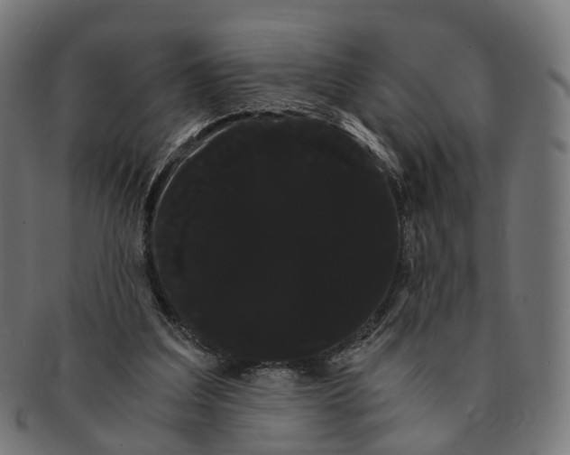 X0000091240203200709061547