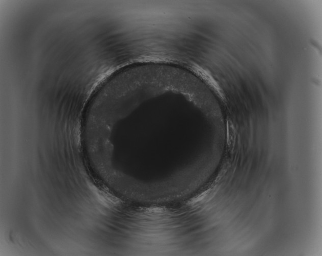 X0000091240204200709061547