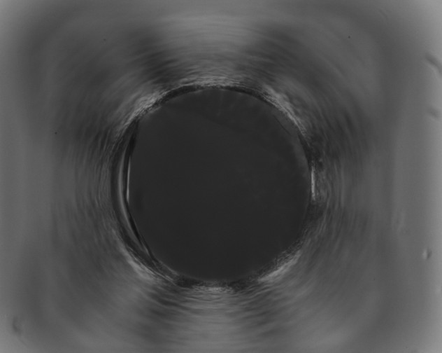 X0000091240205200709061547