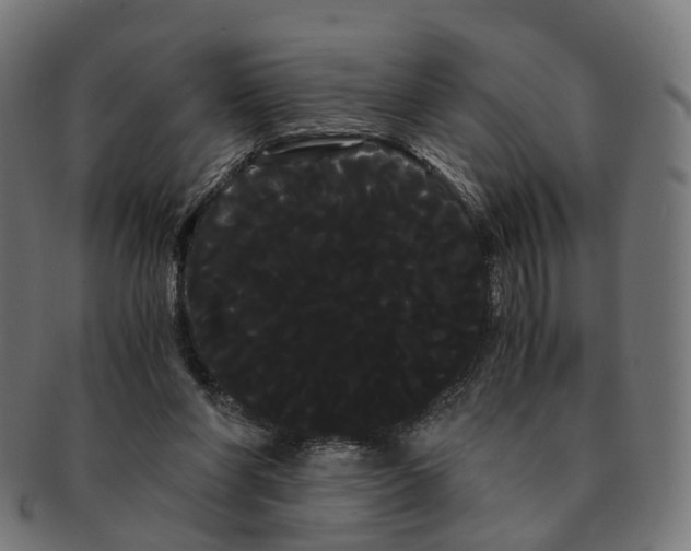 X0000091240206200709061547
