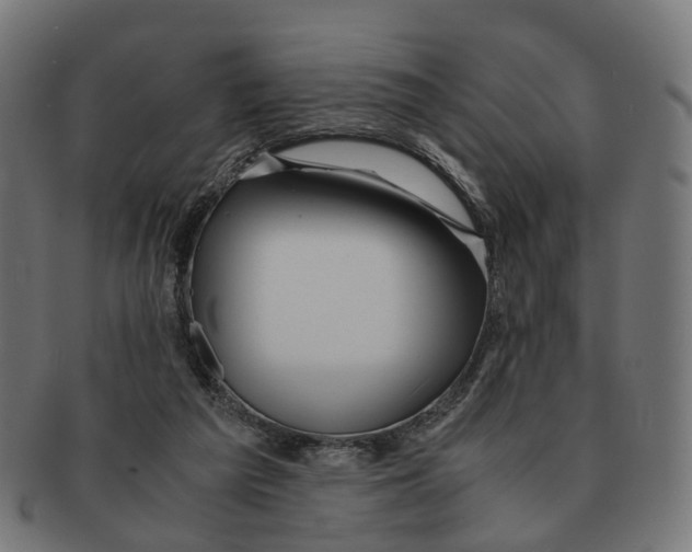 X0000091240209200709061547