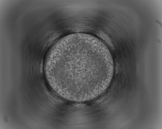 X0000091240210200709061547