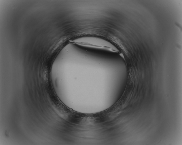 X0000091240212200709061547