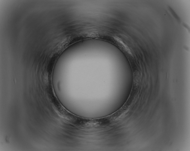 X0000091240213200709061547