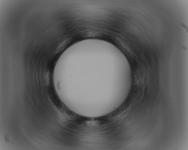 X0000091240216200709061547