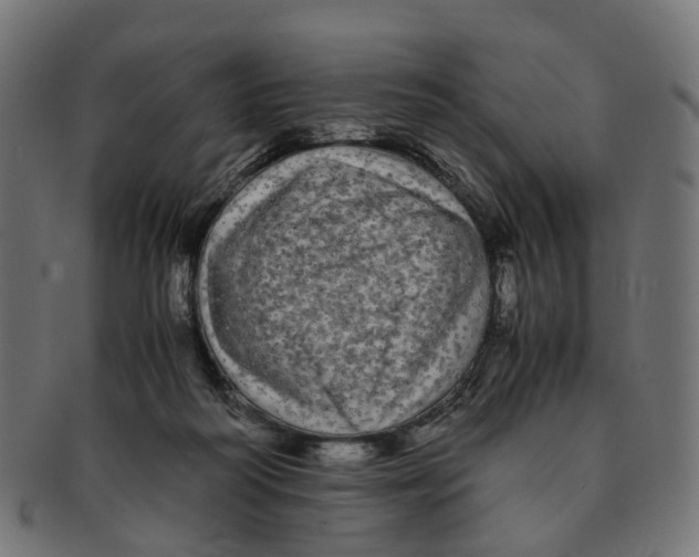 X0000091240218200709061547