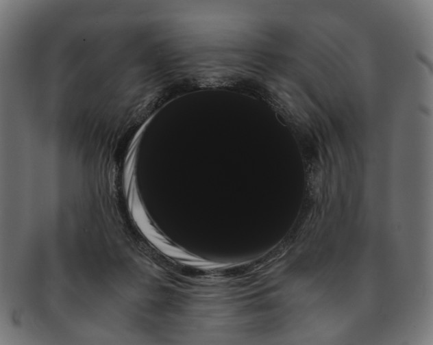 X0000091240219200709061547