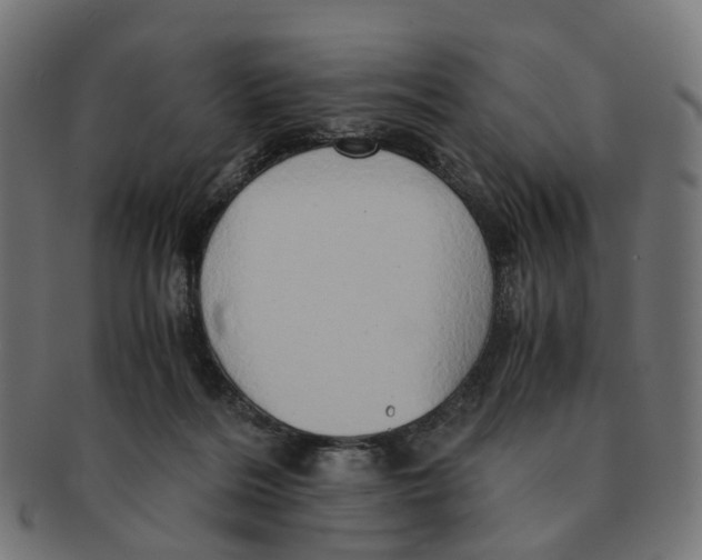 X0000091240220200709061547