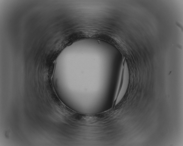 X0000091240221200709061547