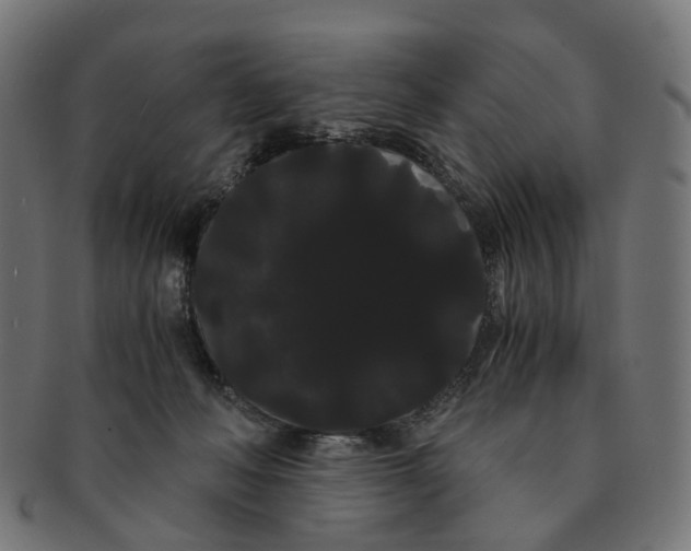 X0000091240222200709061547