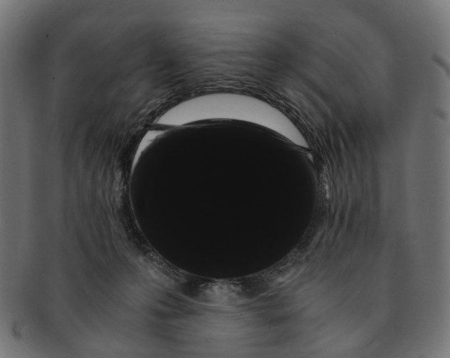 X0000091240223200709061547