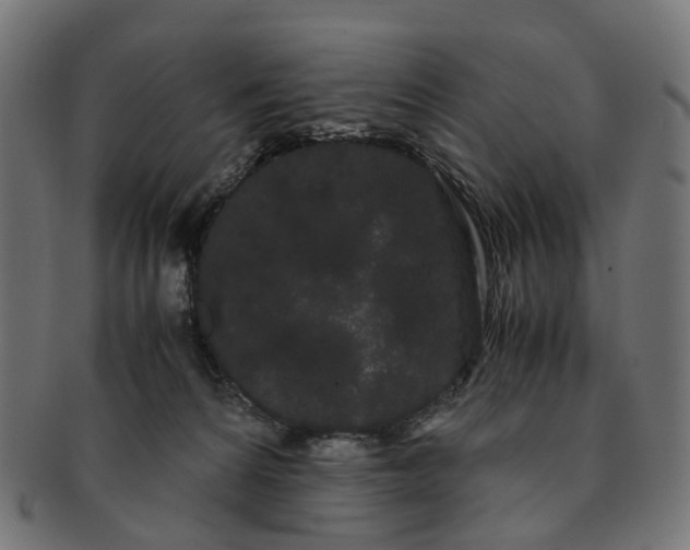 X0000091240224200709061547