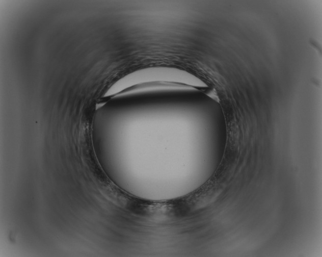 X0000091240225200709061547