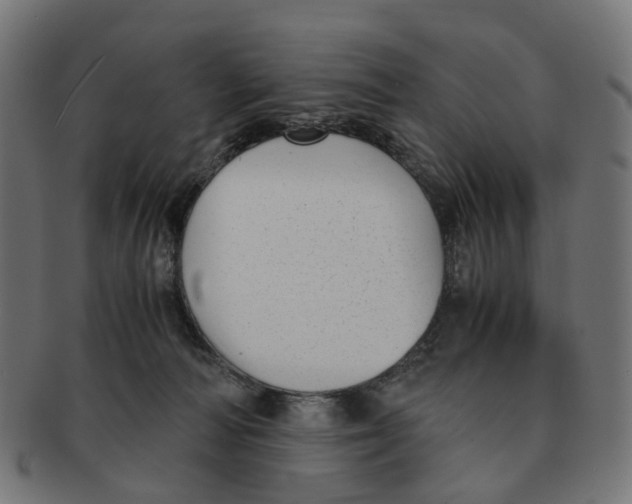 X0000091240226200709061547