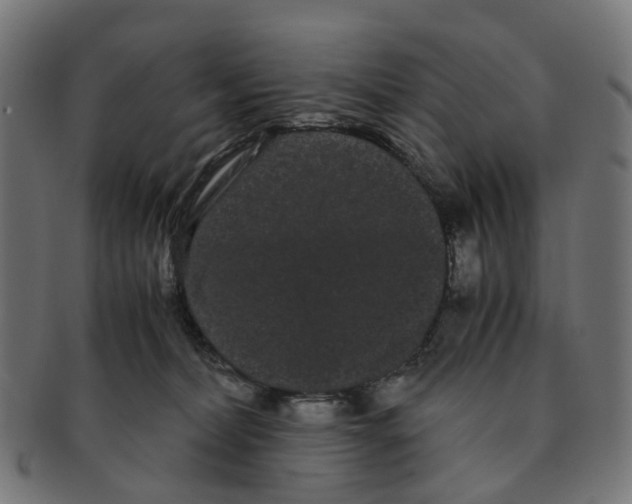 X0000091240228200709061546