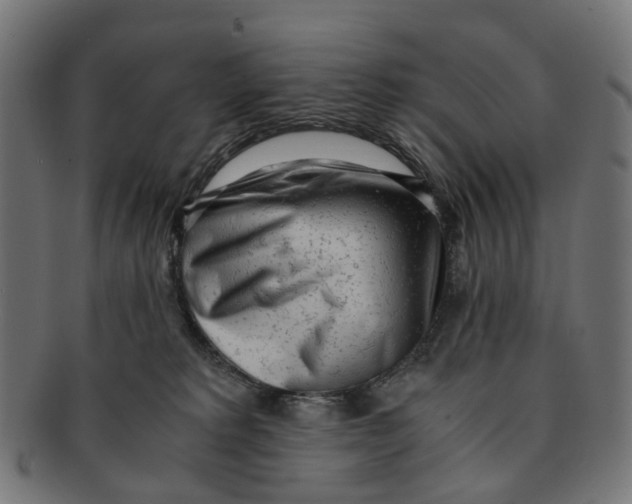 X0000091240229200709061546
