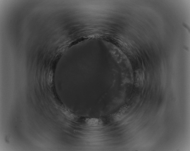 X0000091240230200709061546