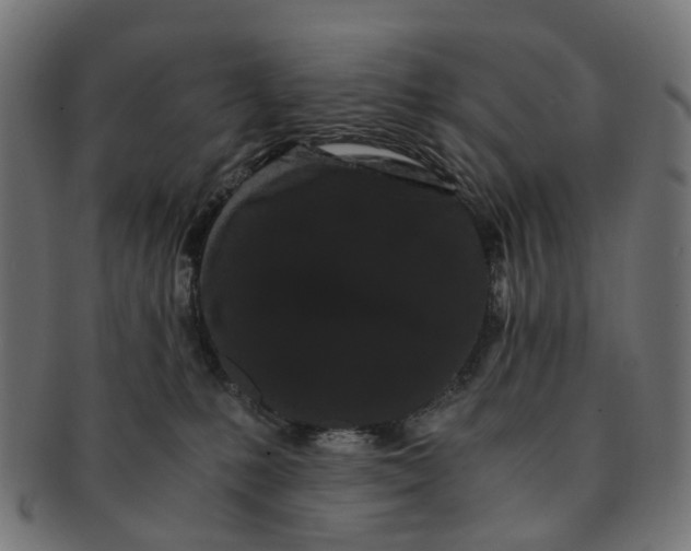 X0000091240231200709061546