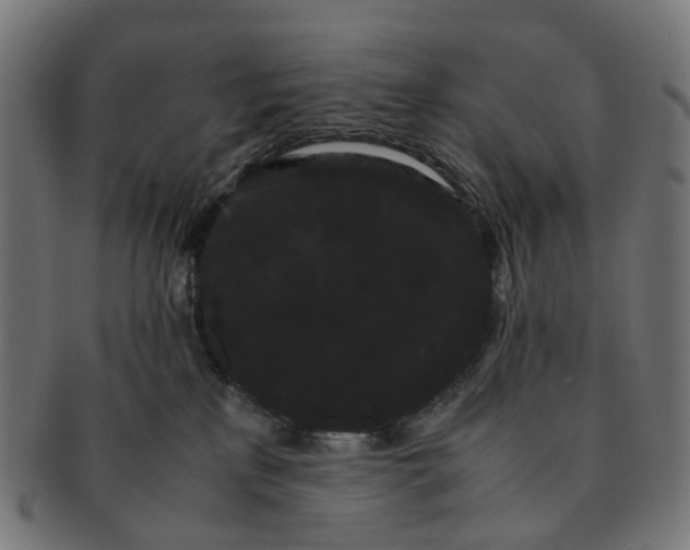 X0000091240233200709061546