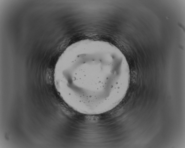 X0000091240234200709061546