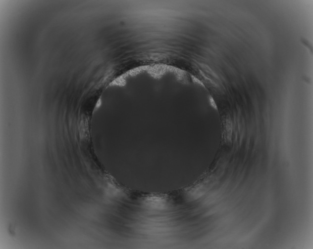 X0000091240236200709061546