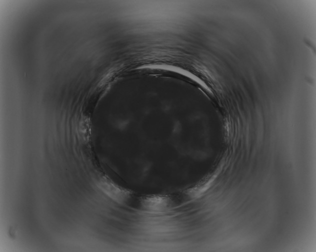 X0000091240237200709061546