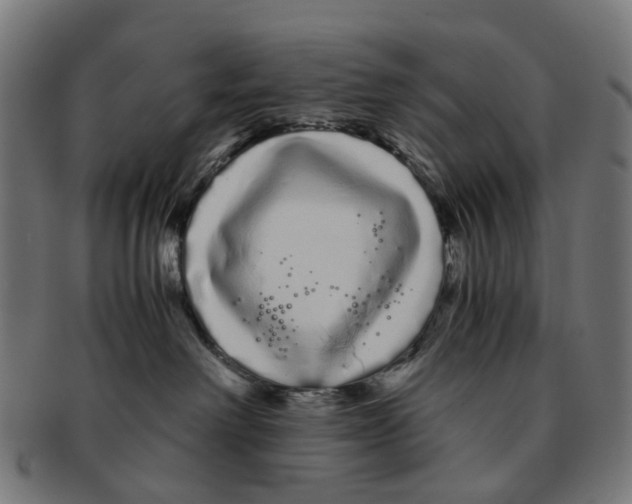 X0000091240238200709061546