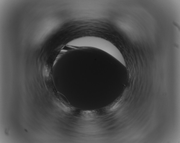 X0000091240239200709061546